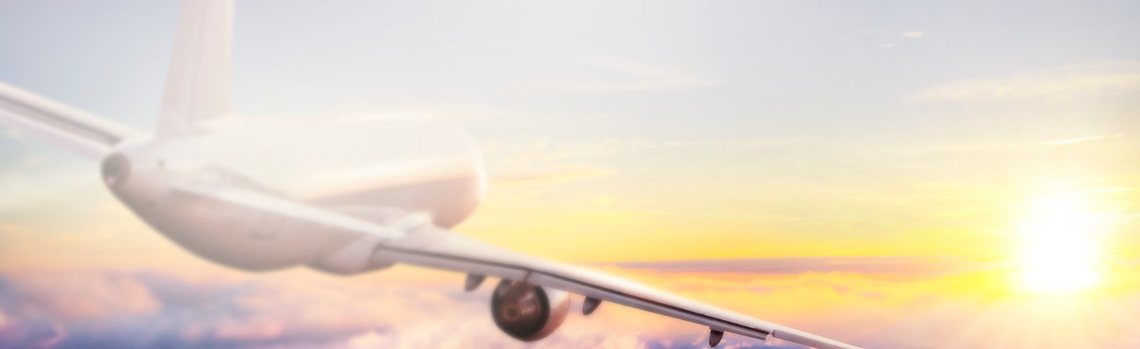 Exportar - Argen>Box